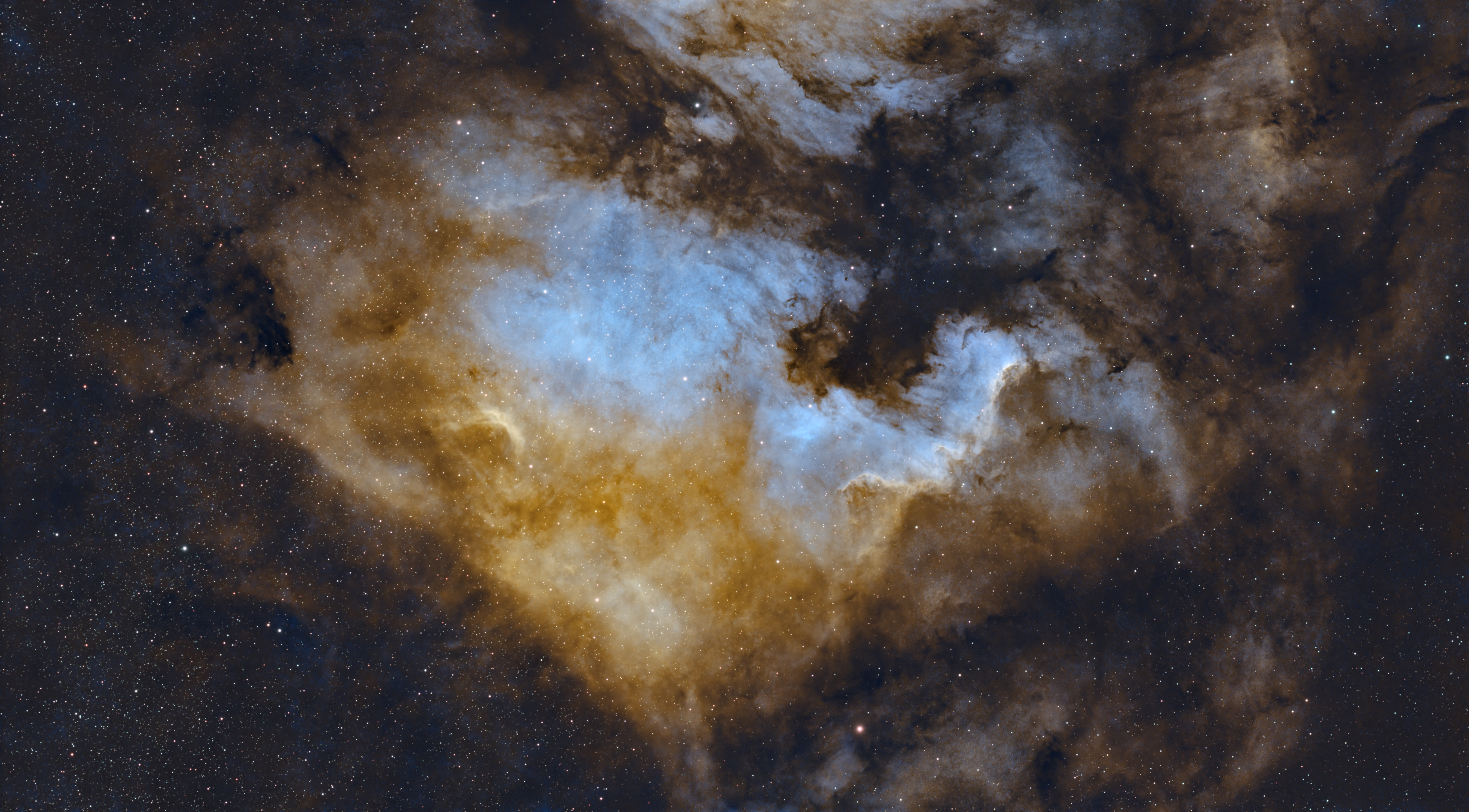 NGC 7000 - North American Nebula