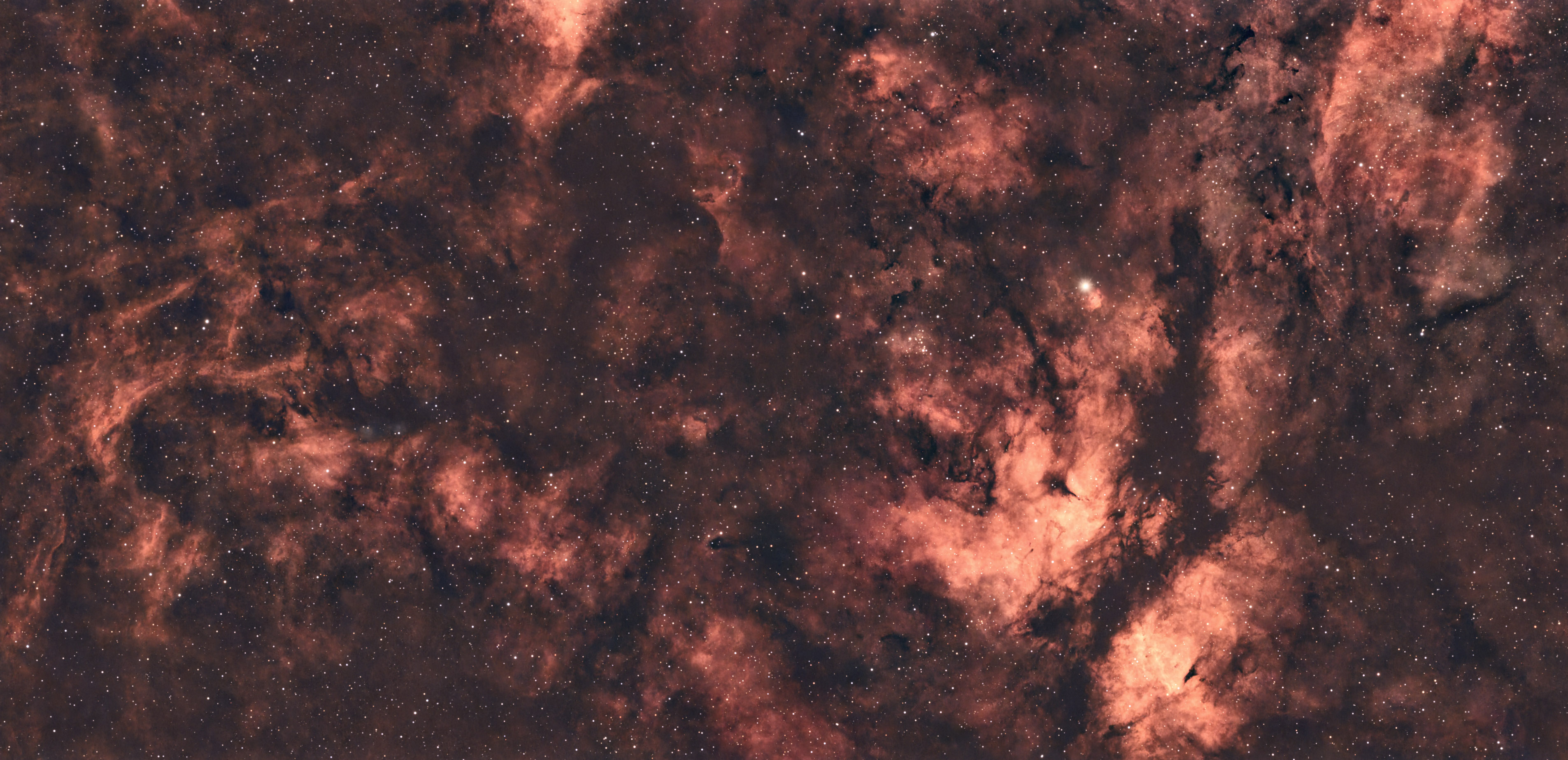 Sadr Region - Sea of Hydrogen Alpha
